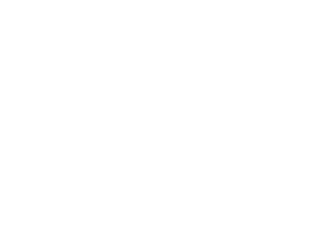 vision